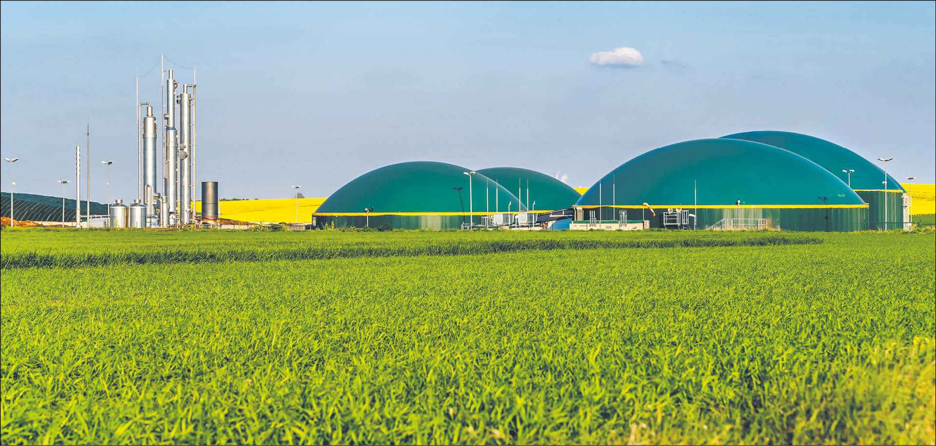 920064_big_photo_image_photo_image