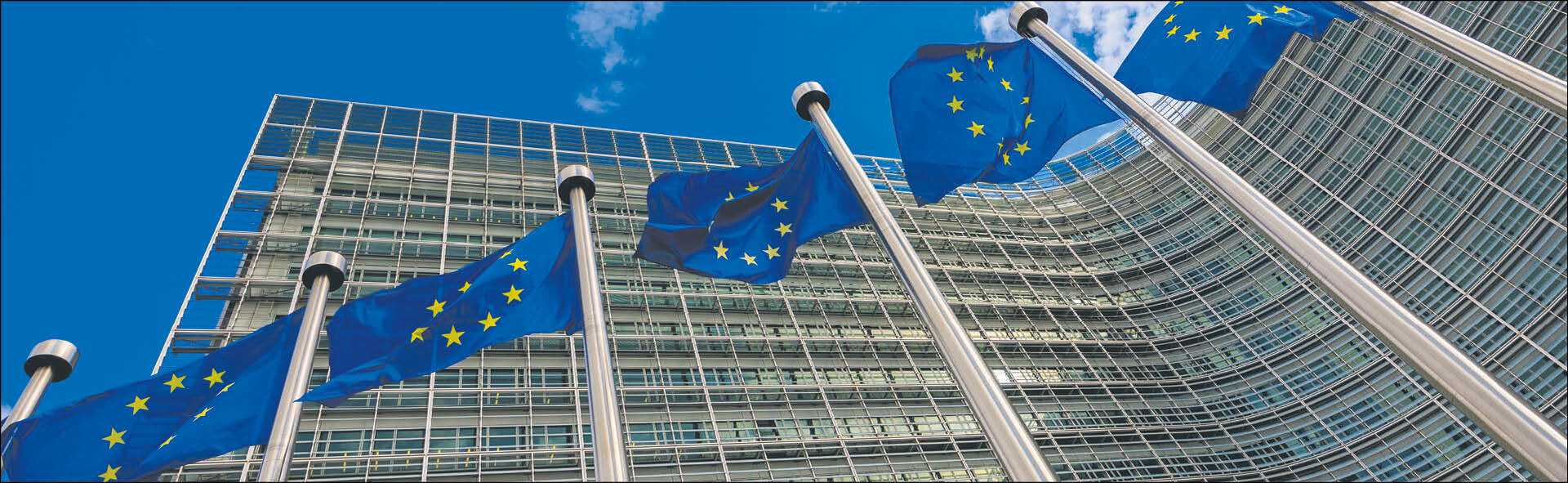 951275_big_photo_image_photo_image