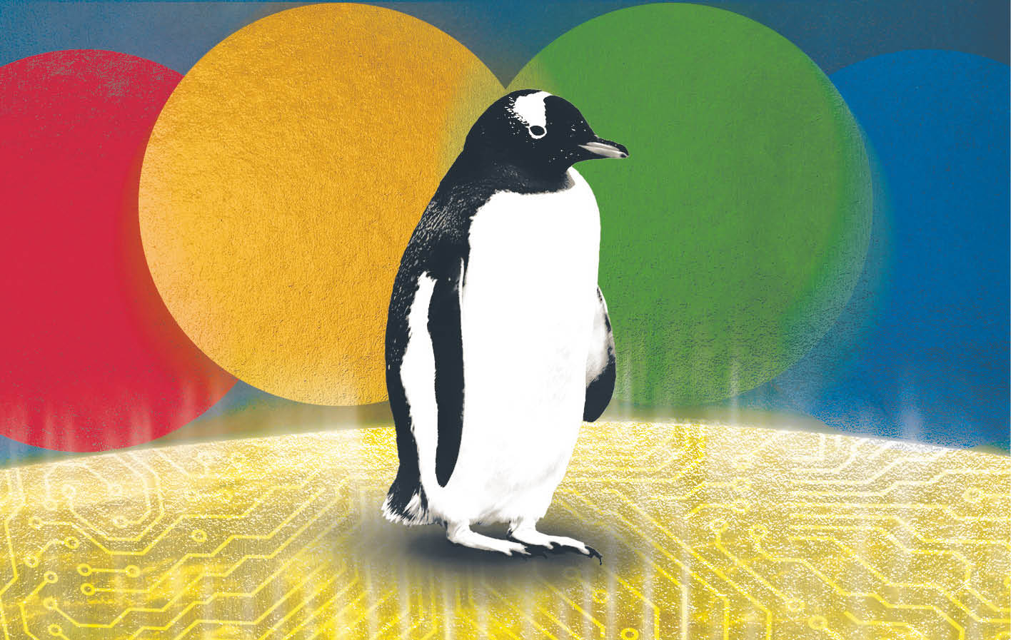 964767_big_photo_image_photo_image