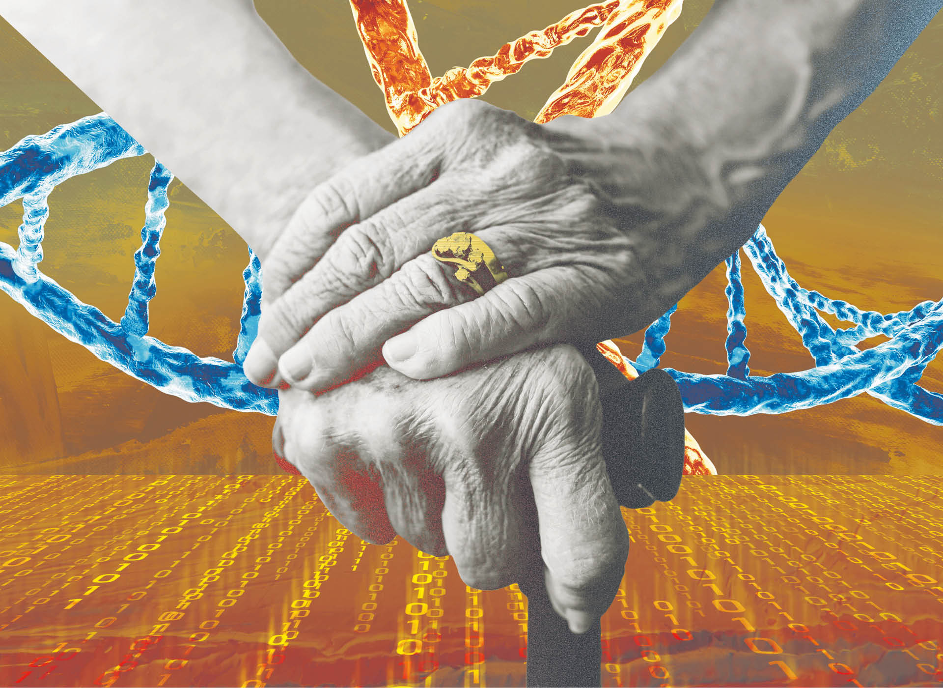 972736_big_photo_image_photo_image