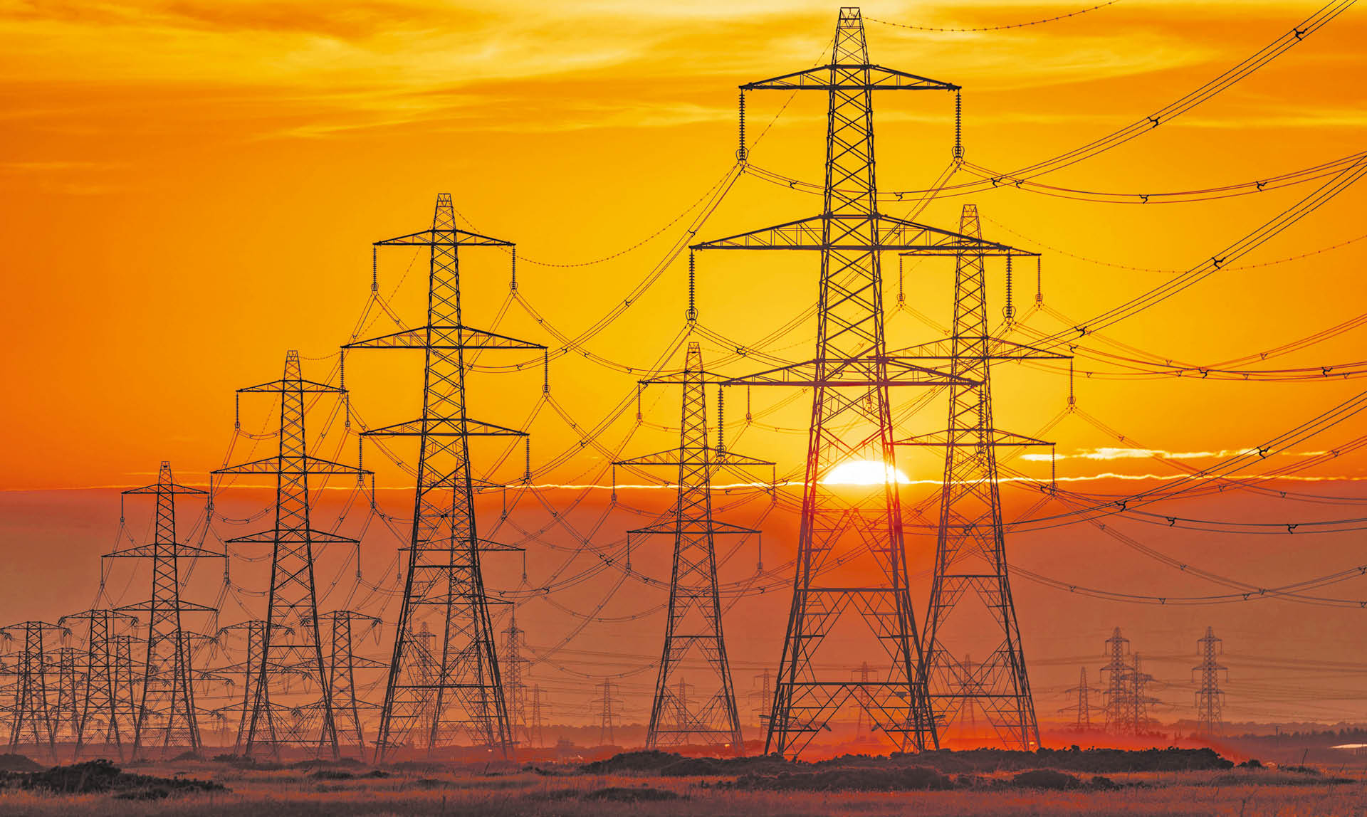 976545_big_photo_image_photo_image