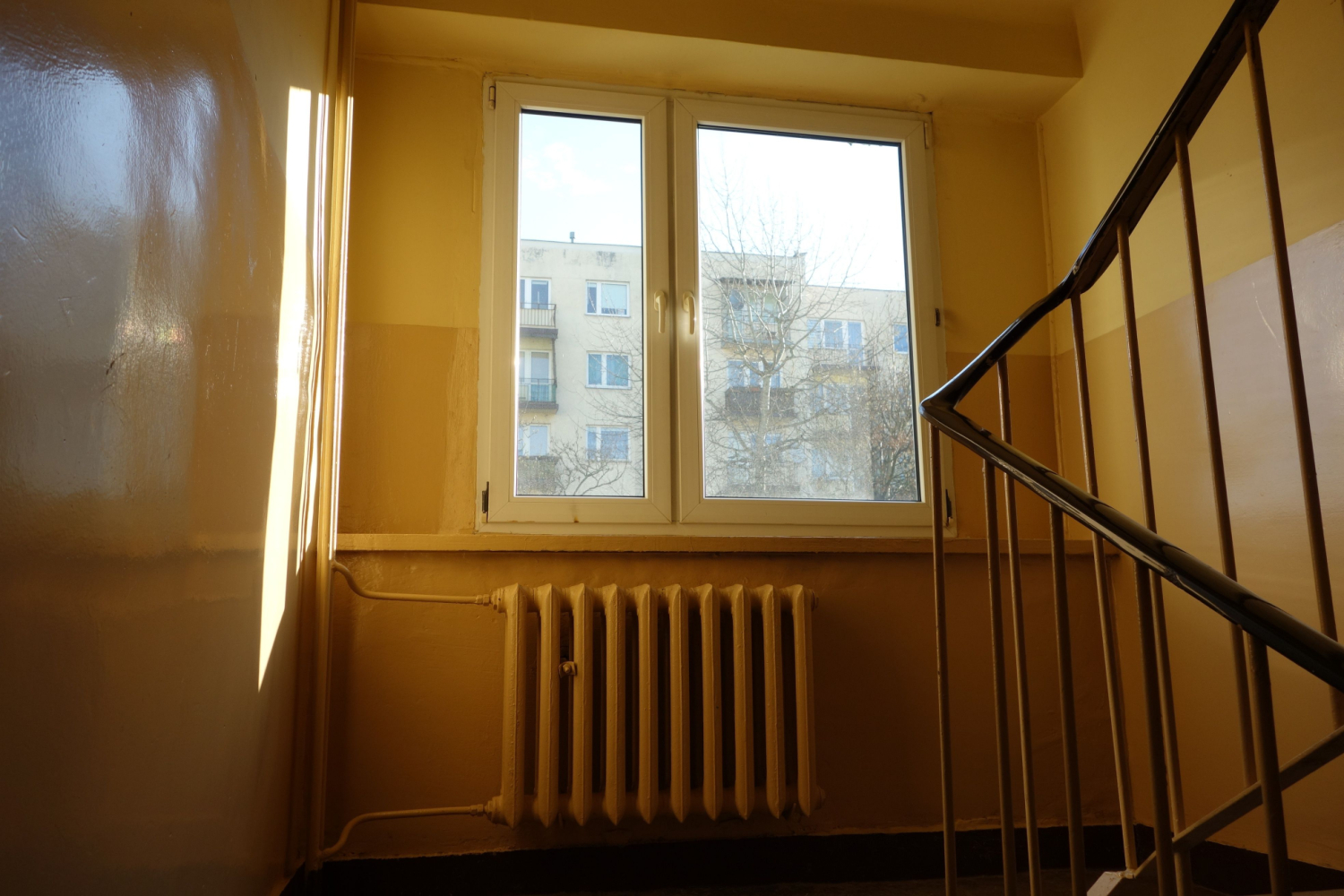 news_single_171267_photo_image
